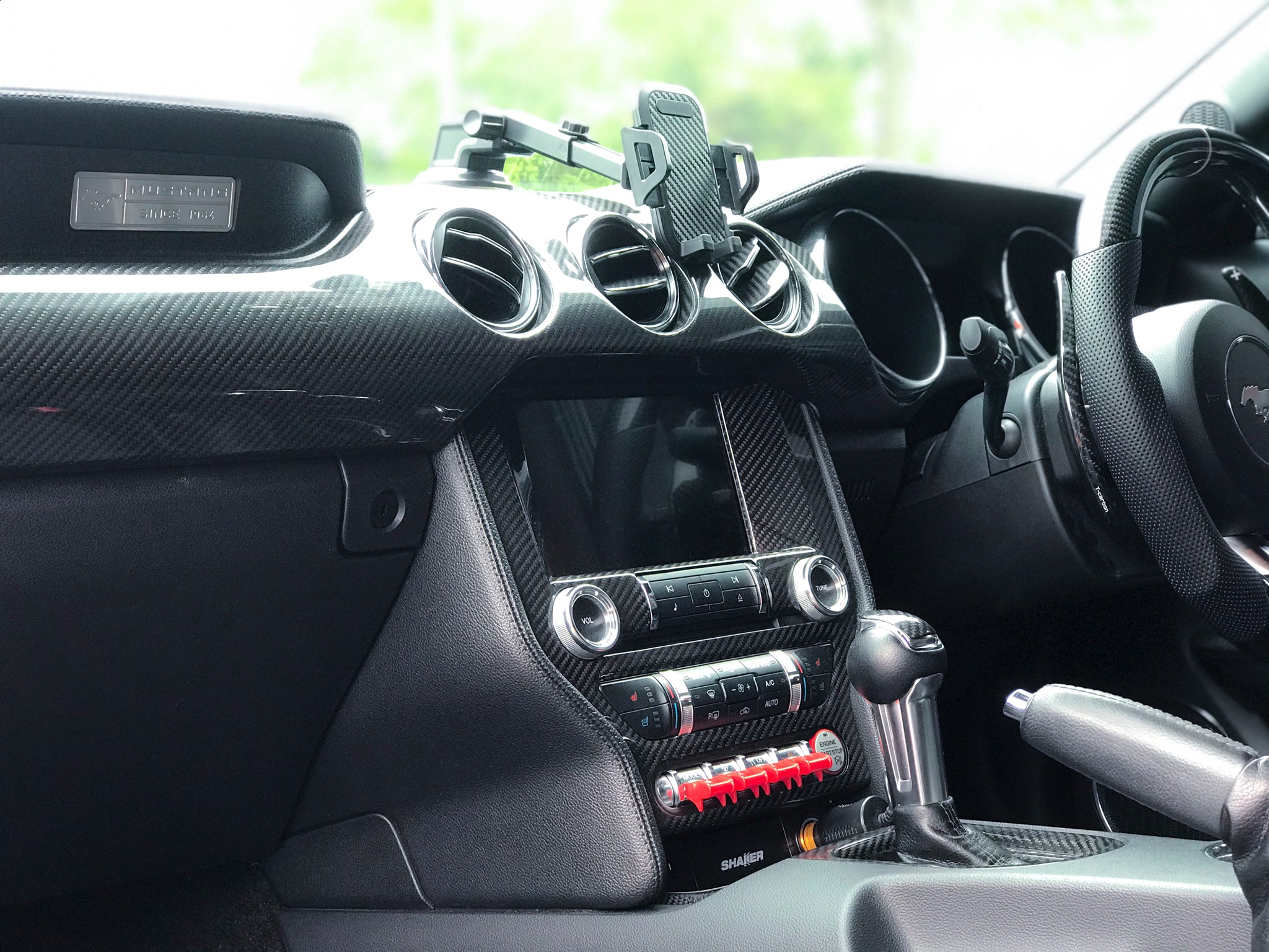 Ford Mustang 2.3 / 5.0 Installed Dry Carbon Fiber Interior Full Set