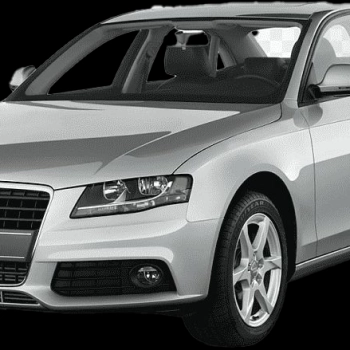 B8