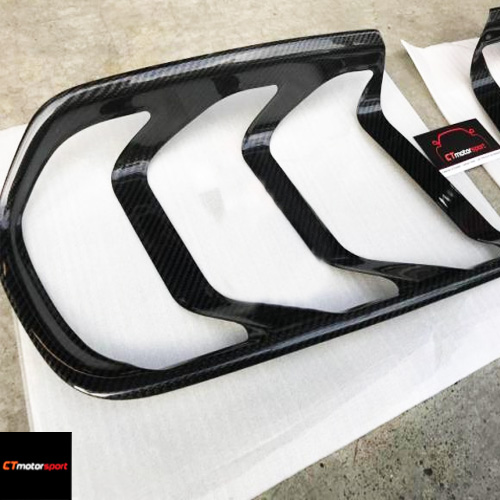 Ford Mustang 2.3 / 5.0 Installed Carbon Rear Tail Lamp Cover 