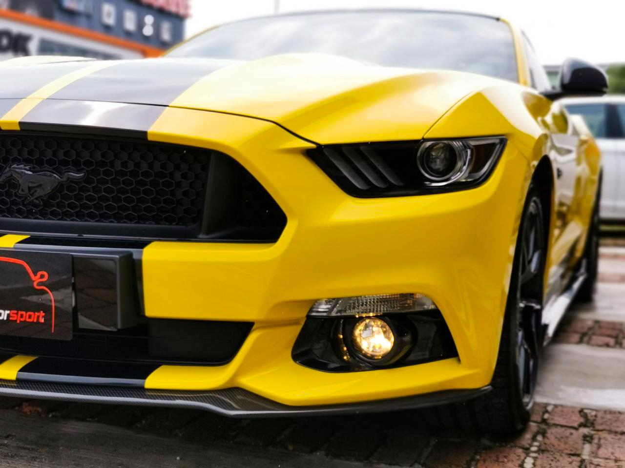 Ford Mustang 2.3 / 5.0 Installed Fog Lamp Carbon Fiber