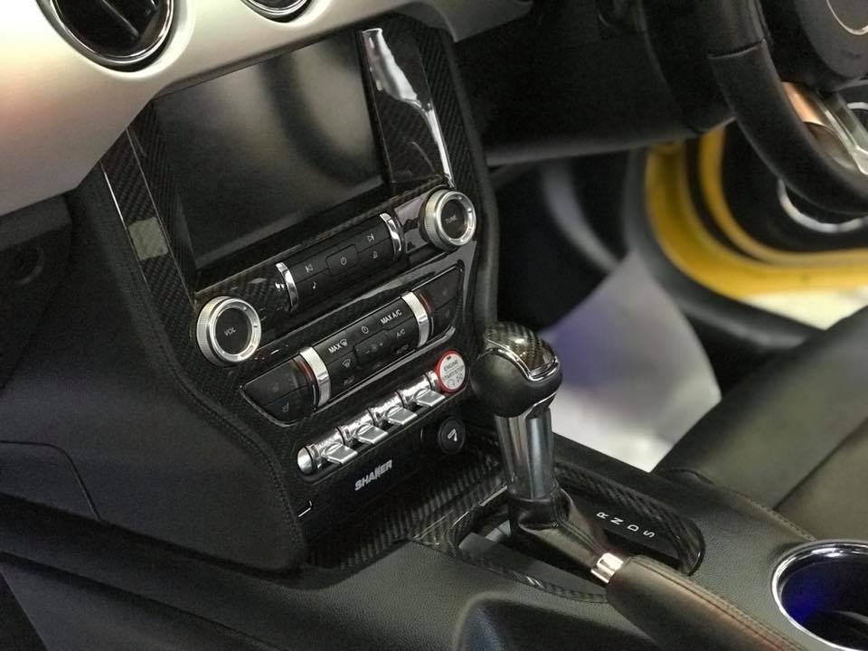 Ford Mustang 2.3 / 5.0 Carbon Fiber Control Panel Cover 