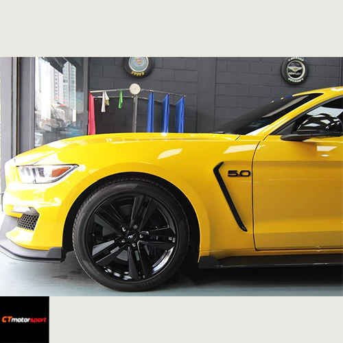 Ford Mustang MP Concept Shelby Fender Bodykit 1:1 